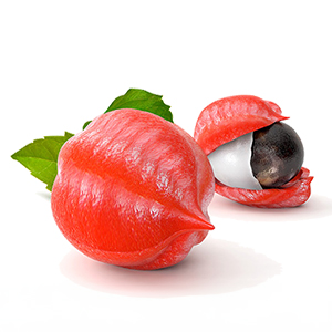 Guarana